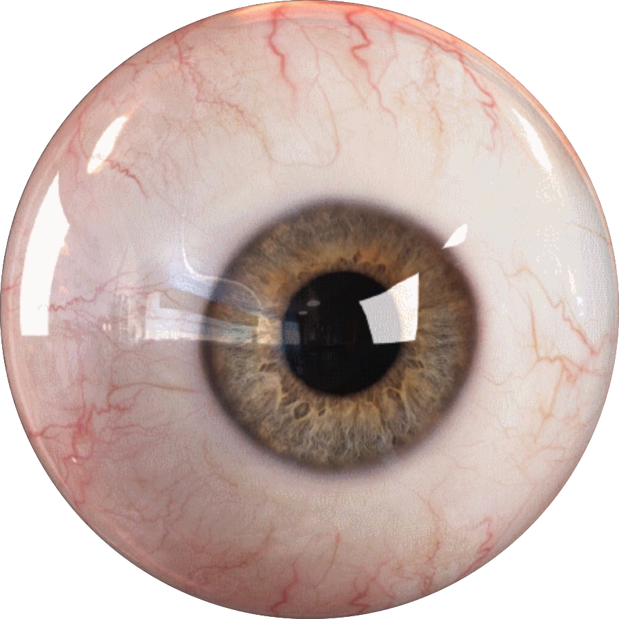 ojo